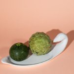 vintage french duck dish