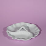 limoges porcelain shell platter