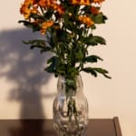 czech glass vase